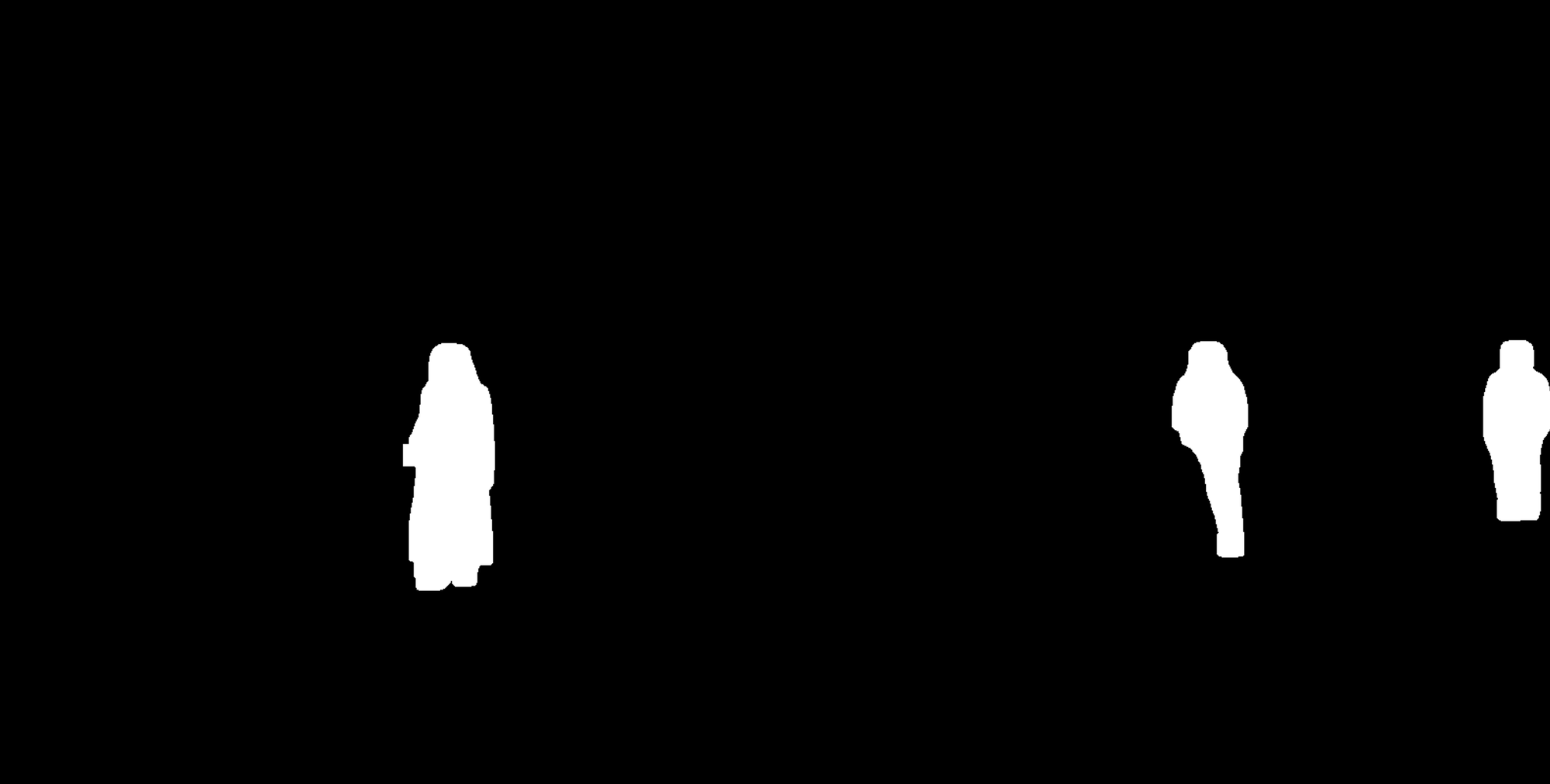 Binary segmentation mask