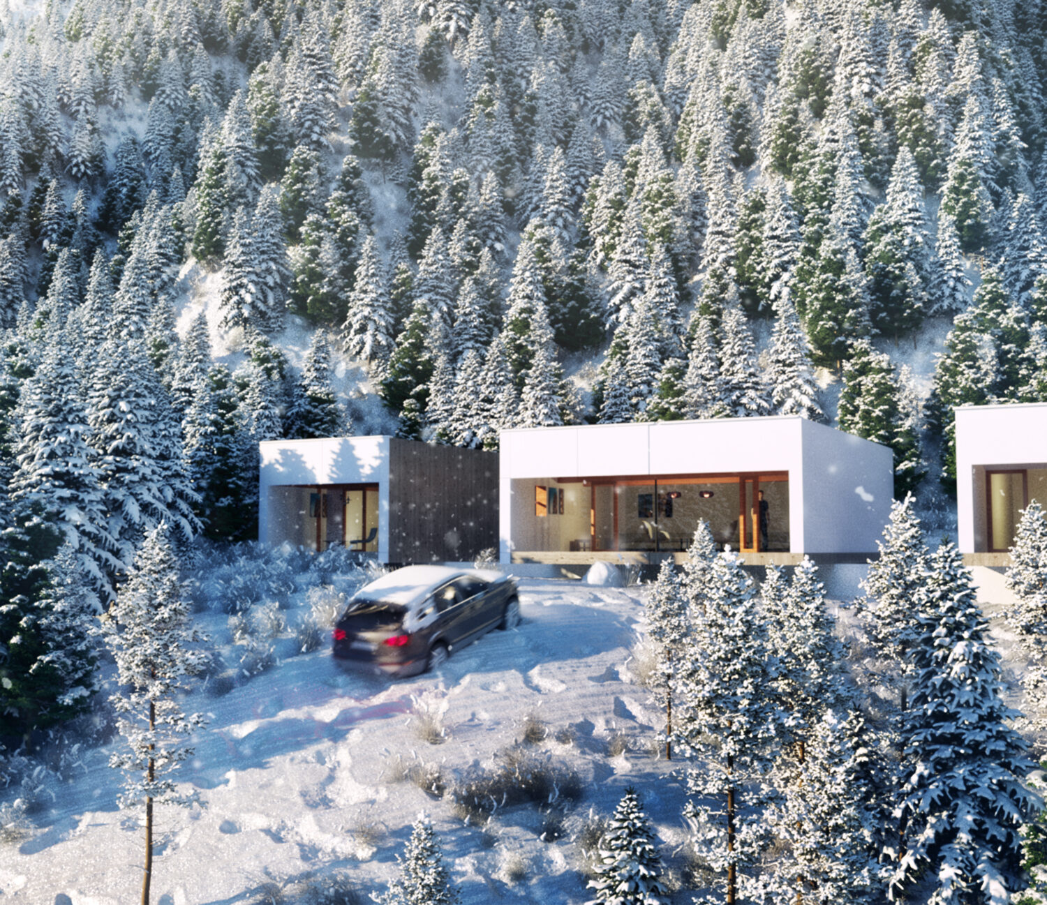 Winter Formenta (before / after)
